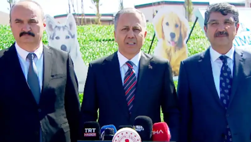 Sokak Köpekleri Üzerine Yapılan Denetimler: İçişleri Bakanlığı'nın 81 İl'e Gönderdiği Müfettişlerin Amacı Nedir?