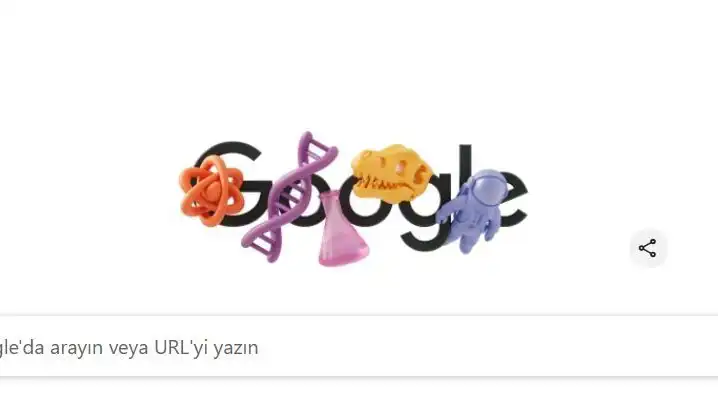 STEM Alanındaki Kadınlar: Doodle ile Kutlanan Başarılar ve Etkileri