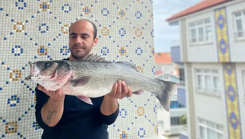 7,5 Kilogramlık Dev Levrek, Balıkçıları Mest Etti!